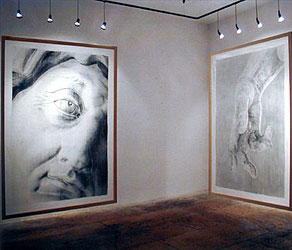 Keiichi Tahara, Emulsion photographique sur tissu